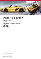 SSP 653 Audi R8 Spyder 